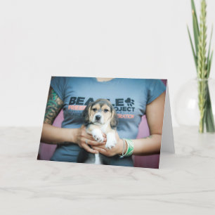 Beagle Freedom Pup on T - Shirt Karte