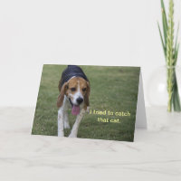 Beagle Geburtstagskarte