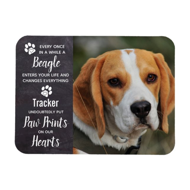 Beagle-Gedenkstätte Magnet (Horizontal)