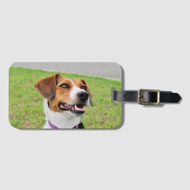 Beagle Gepäckanhänger (Vorderseite (Horizontal))