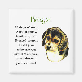 Beagle Geschenke Magnet