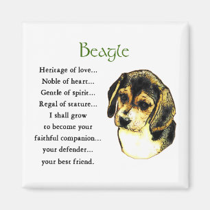 Beagle Geschenke Magnet