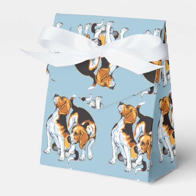 Beagle Geschenkschachtel (Vorderseite)