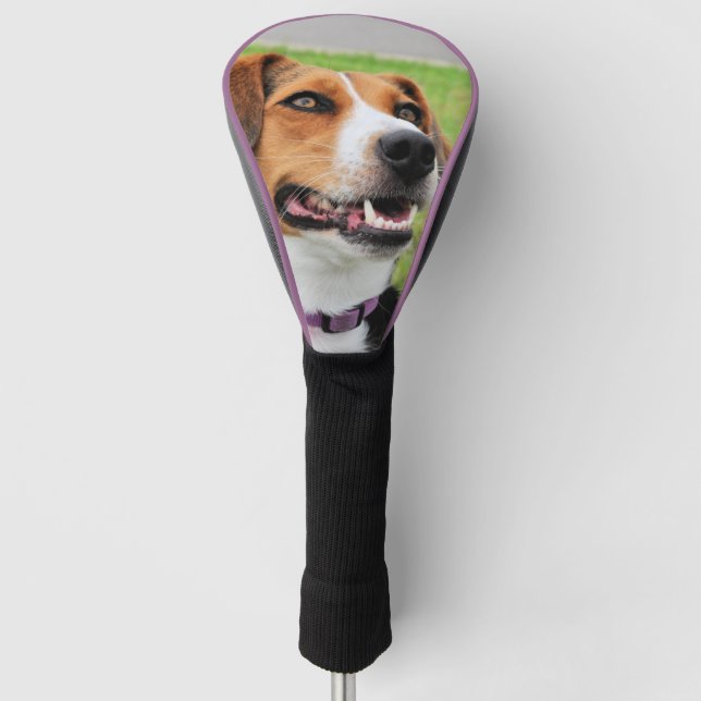 Beagle Golf Headcover (Vorderseite)