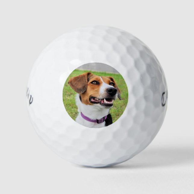 Beagle Golfball (Vorderseite)