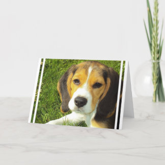Beagle Grußkarten Karte
