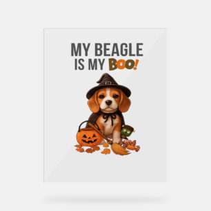 Beagle Halloween Kostüm Mein Beagle ist mein Boots Acrylschild