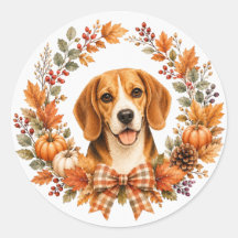 Beagle-Herbstkranz