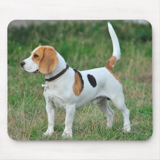 Beagle Hound Dog Mousepad (Vorne)