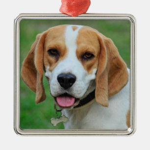 Beagle Hound Dog Ornament Aus Metall