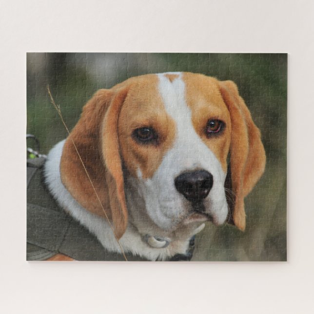 Beagle Hound Dog Puzzle (Horizontal)