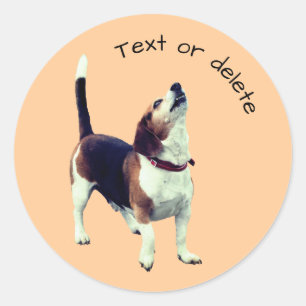 Beagle Howling Dog Personalisiert Runder Aufkleber