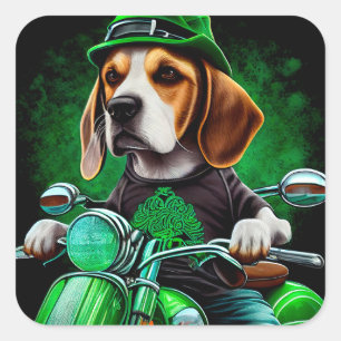 Beagle-Hund fährt Fahrrad am St. Patrick's Day Quadratischer Aufkleber