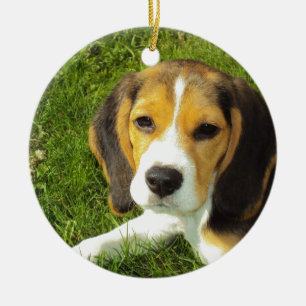 Beagle Hund Haustiere Frieden Liebe Keramikornament
