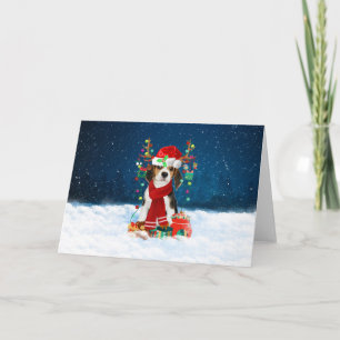 Beagle Hund im Schnee mit Weihnachtsgeschenken Karte