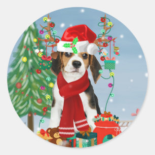 Beagle Hund im Schnee mit Weihnachtsgeschenken Runder Aufkleber