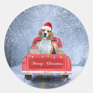 Beagle Hund im Schnee sitzen im Weihnachtswagen Runder Aufkleber
