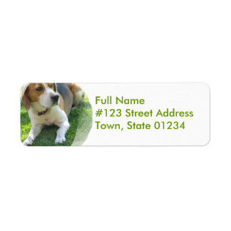 Beagle-Hund-Rückgabeadresse-Etikett