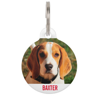 Beagle Hunde Foto Personalisiert Haustiermarke