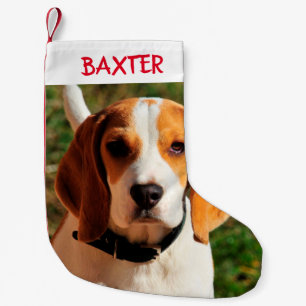 Beagle Hunde Foto Personalisiert Kleiner Weihnachtsstrumpf