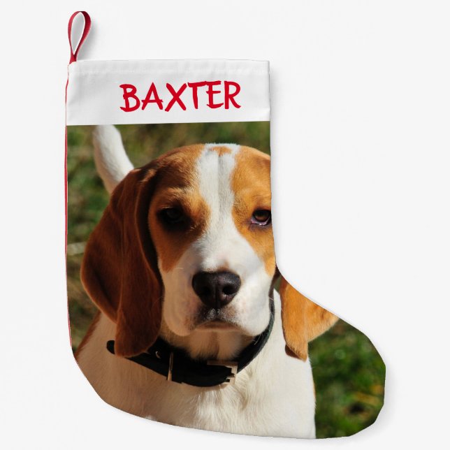 Beagle Hunde Foto Personalisiert  Kleiner Weihnachtsstrumpf (Vorderseite)
