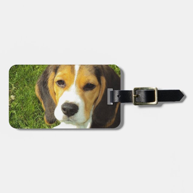 Beagle Hunde Haustiere Liebe Frieden Gepäckanhänger (Vorderseite horizontal)