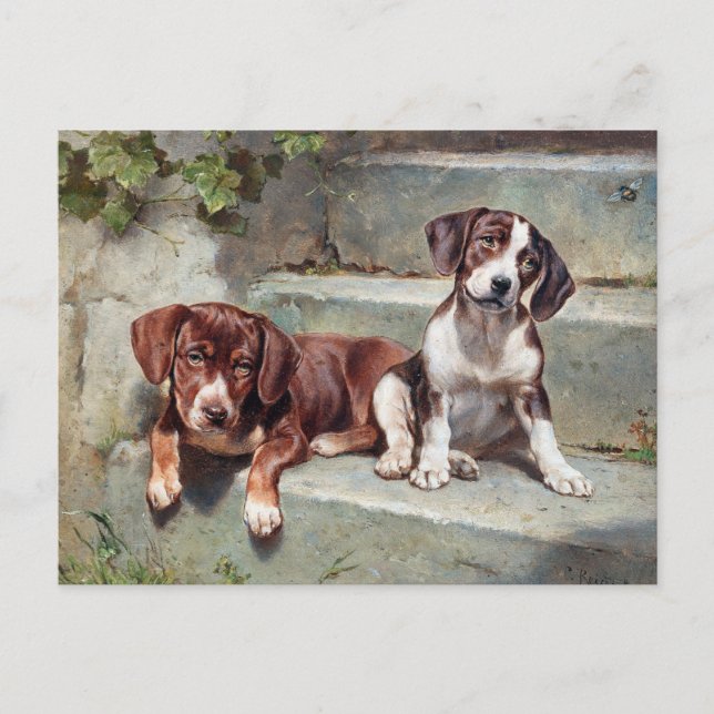 Beagle Hunde Welpen Vintage Tierpostkarte Postkarte (Vorderseite)