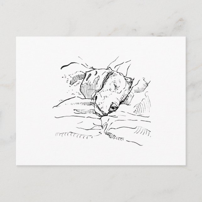 Beagle-Hundefan Illustration  Postkarte (Vorderseite)