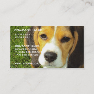 Beagle-Hundegeschäfts-Karte Visitenkarte
