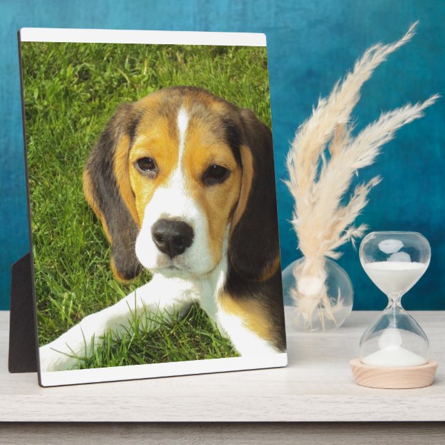 Beagle-Hundehaustier-Tier-FriedensLiebe Fotoplatte (Seite)