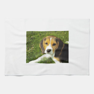 Beagle-Hundehaustier-Tier-FriedensLiebe Geschirrtuch