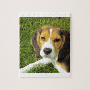 Beagle-Hundehaustier-Tier-FriedensLiebe Puzzle