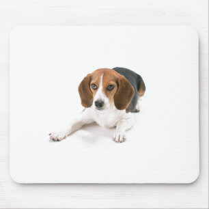 Beagle-Hundemausunterlage Mousepad