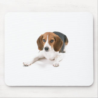 Beagle-Hundemausunterlage Mousepad