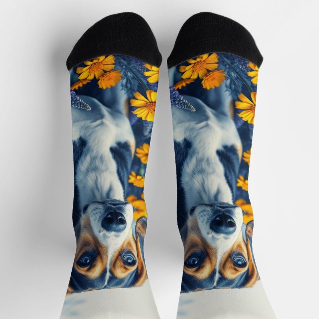 Beagle in den Blume Socken (Oben)
