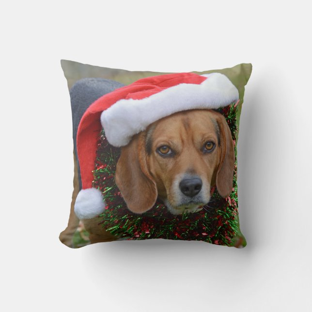 Beagle in der Weihnachtsmannmütze u. in der Kissen (Vorderseite)