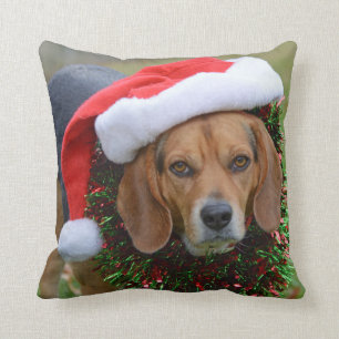 Beagle in der Weihnachtsmannmütze u. in der Kissen