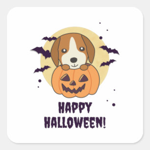 Beagle in Pumpkin Sweet Hunde glückliche Halloween Quadratischer Aufkleber