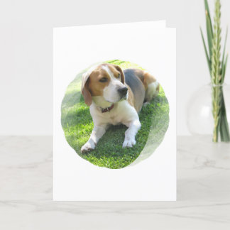 Beagle-Jagdhund-Hundegruß-Karte Karte
