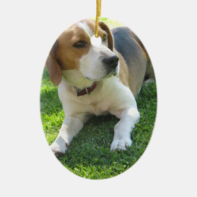 Beagle-Jagdhund-Verzierung Keramik Ornament (Vorne)