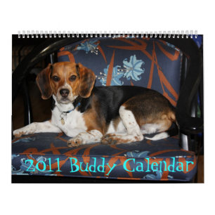 Beagle-Kalender 2011 Kalender