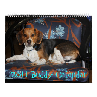 Beagle-Kalender 2011 Kalender