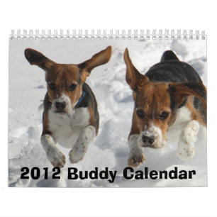 Beagle-Kalender 2012 Kalender