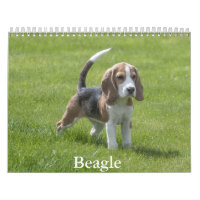 Beagle-Kalender