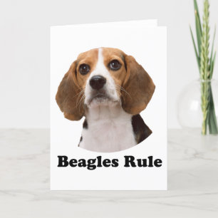 Beagle Karte