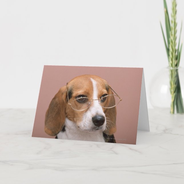 Beagle Karte (Vorderseite)