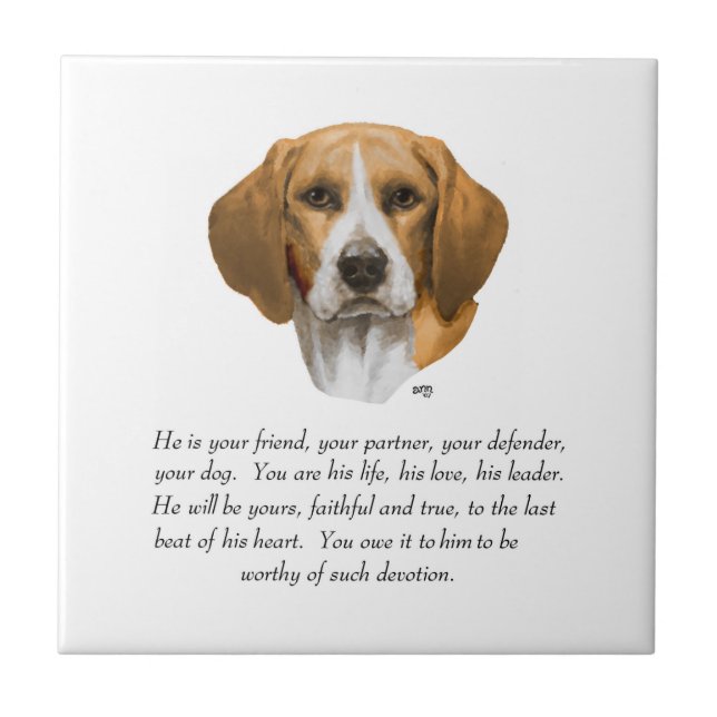 Beagle Keepake MALE Fliese (Vorderseite)