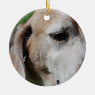 Beagle Keramikornament