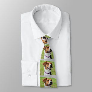 Beagle Krawatte