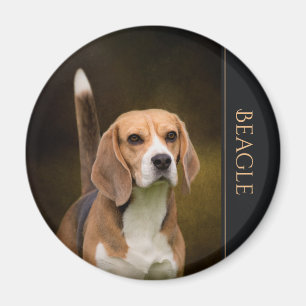 Beagle-Kühlschrankmagnet Magnet